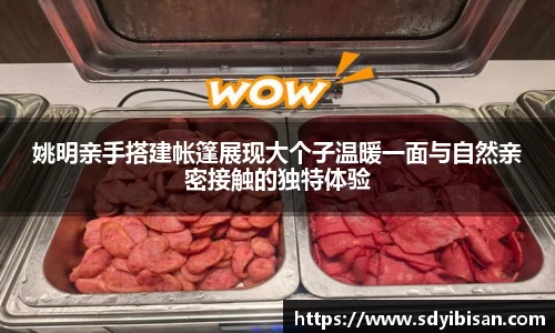 姚明亲手搭建帐篷展现大个子温暖一面与自然亲密接触的独特体验